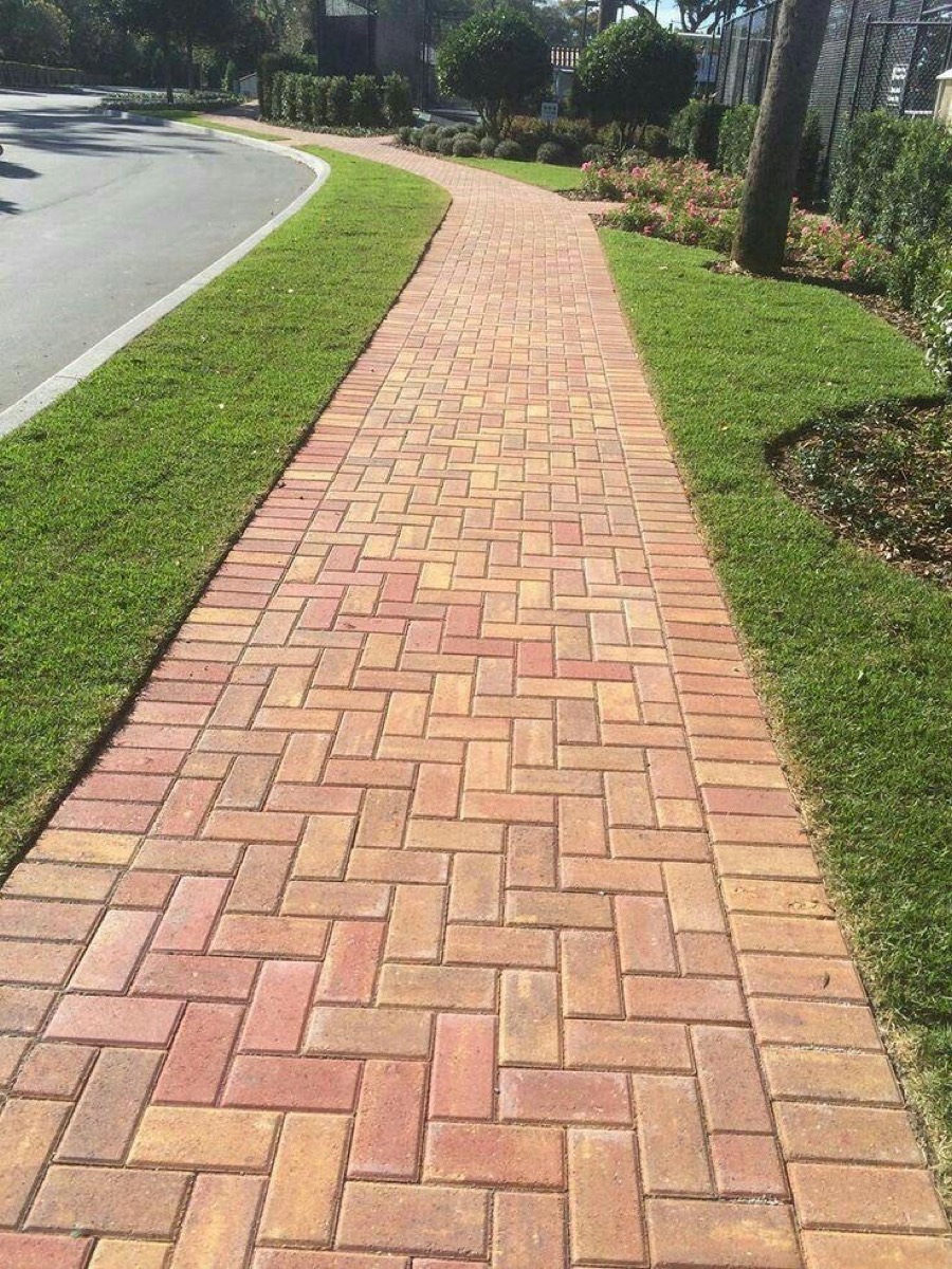 Red clay brick walkway in herringbone pattern through a lawn